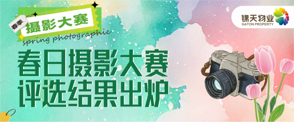 快快来领奖！锦天春日摄影大赛评选结果出炉！
